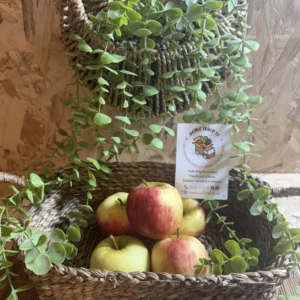 pommes elstar sucrée mayenne livraison home truck 53 local