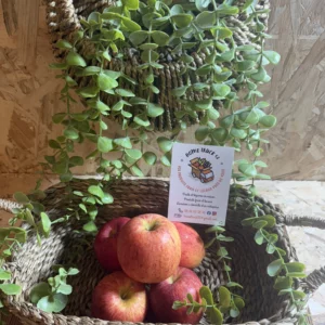 Pommes gala origine la mayenne 53 local vergers saint-berthevin laval agglo livraison