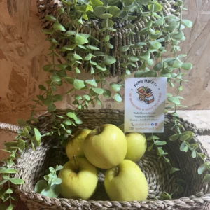 Pommes golden origine mayenne 53 local laval agglo
