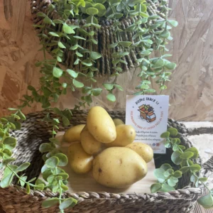 pommes de terre grenailles bretagne 35 local categorie 1 livraison home truck 53