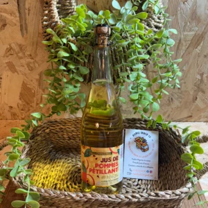 Jus de pommes pétillant origine la mayenne local laval agglo 53
