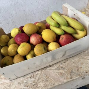 "le fruity" XL